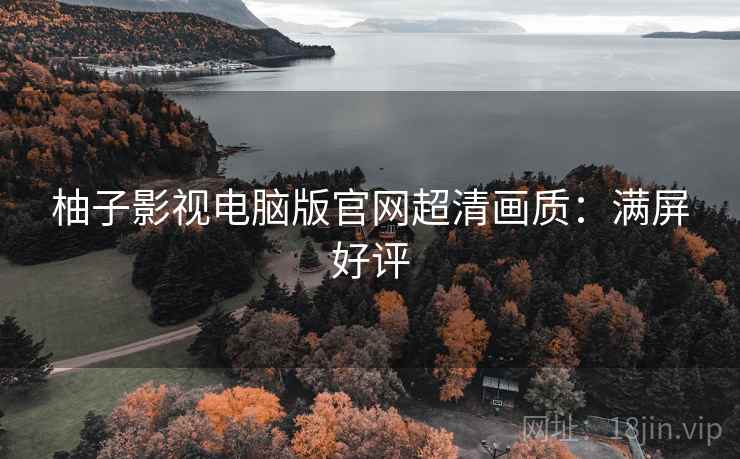 柚子影视电脑版官网超清画质：满屏好评